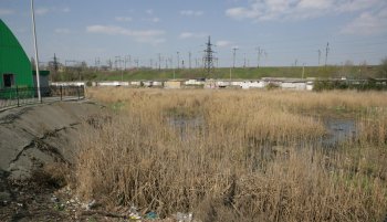 Буферный пруд на Балковской: Печальное зрелище (фото)