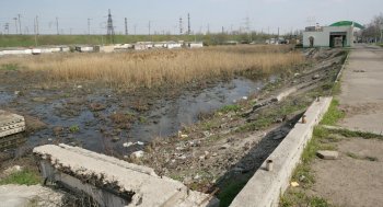 Буферный пруд на Балковской: Печальное зрелище (фото)
