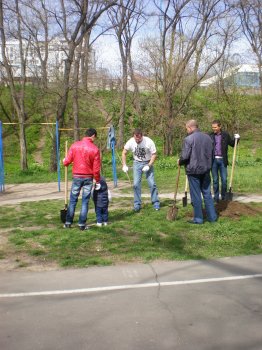 Трасса здоровья сверкает чистотой: Итоги общегородского субботника