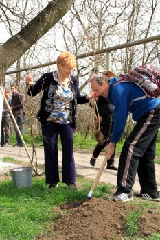 Трасса здоровья сверкает чистотой: Итоги общегородского субботника