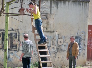 Евгений Гофман: Самая большая беда - внутридомовые проезды