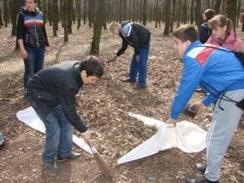 Более 8 тысяч одесситов приняли участие в субботнике в Киевском районе