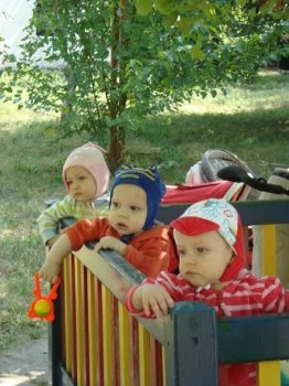 Разыскивается… внимание!