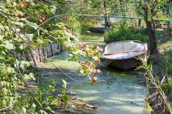 Уровень воды в реках региона под конролем