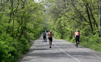Первомай на Трассе здоровья: Гуляем, жарим шашлыки, мусорим