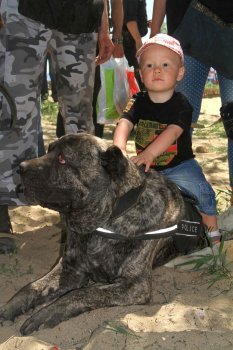 В Лузановке состоялся праздничный привал, организованный по инициативе народного депутата Украины Геннадия Труханов
