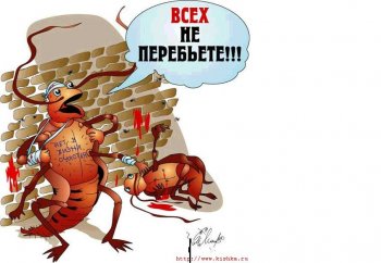 Пьяный парень попробовал себя в роли "режиссера" на чужой свадьбе