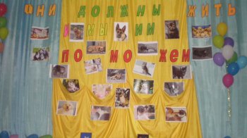 Одесские школьники: «Бездомные животные должны жить, и мы им поможем»