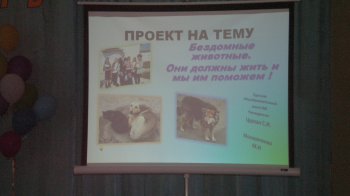 Одесские школьники: «Бездомные животные должны жить, и мы им поможем»