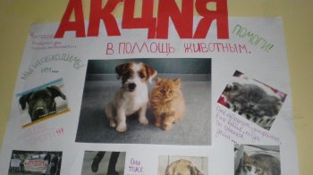 Одесские школьники: «Бездомные животные должны жить, и мы им поможем»