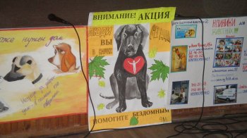 Одесские школьники: «Бездомные животные должны жить, и мы им поможем»