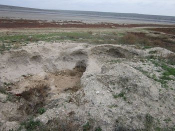 В Одессе объявлена война экологической тупости!