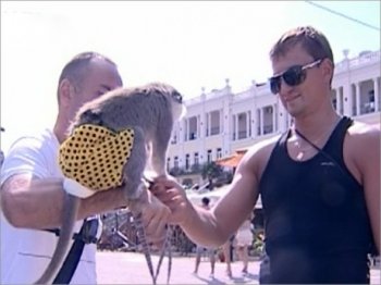 Правоохранители изымают животных у фотографов