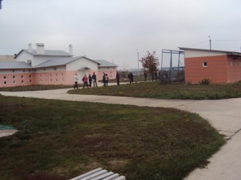 Котовск обзаведётся собственным приютом для бездомных животных