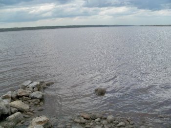 Общественники во главе с одесскими журналистами «взвесили» соль Куяльника