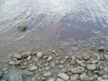 Общественники во главе с одесскими журналистами «взвесили» соль Куяльника