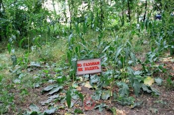 Фотофакт из жизни Одессы: Нарочно не придумаешь!