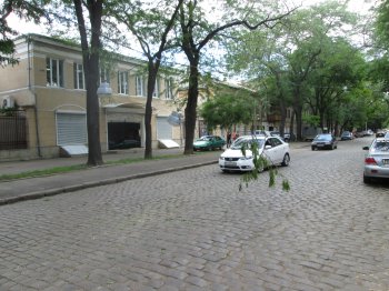 На ул. Нежинской на проезжей части валяются электропровода (фото)