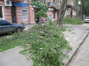 На ул. Нежинской на проезжей части валяются электропровода (фото)