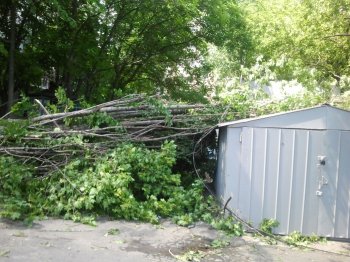 Упавшее дерево снесло будку у «5-го элемента» на 5-й станции Б. Фонтана