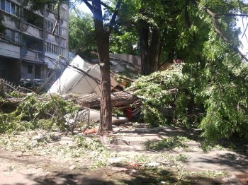 Упавшее дерево снесло будку у «5-го элемента» на 5-й станции Б. Фонтана