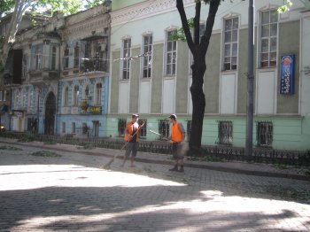 Одесский ураган: Последствия стихии (фото)