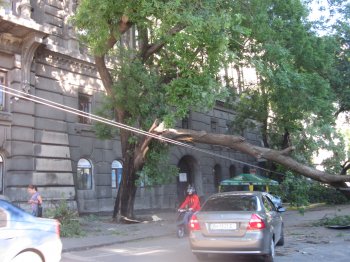 Одесский ураган: Последствия стихии (фото)