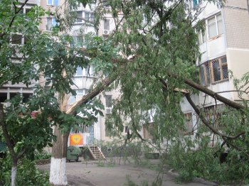 Одесский ураган: Последствия стихии (фото)