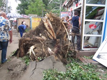 Одесский ураган: Последствия стихии (фото)