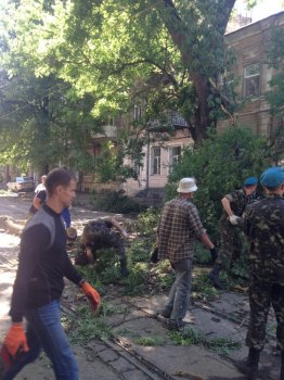 Активисты Общественного совета расчистили Гимназическую и Пантелеймоновскую от веток и мусора