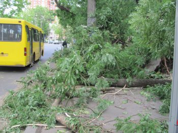 Одесская милиция помогает коммунальным службам в ликвидации последствий урагана (фото)