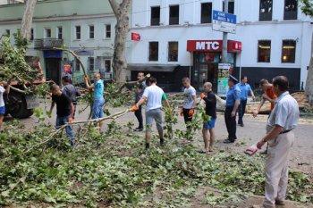 Одесская милиция помогает коммунальным службам в ликвидации последствий урагана (фото)