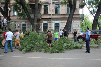 Одесская милиция помогает коммунальным службам в ликвидации последствий урагана (фото)