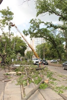 Ликвидация последствий стихии на Французском бульваре Одессы (фото)
