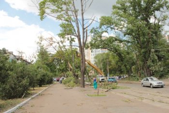 Ликвидация последствий стихии на Французском бульваре Одессы (фото)