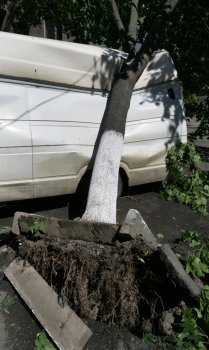 Это не буря, не ураган, это - смерч, торнадо