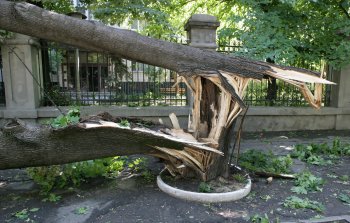 Это не буря, не ураган, это - смерч, торнадо