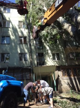 На Капитана Кузнецова продолжаются работы по освобождению дома №99 от рухнувшего тополя