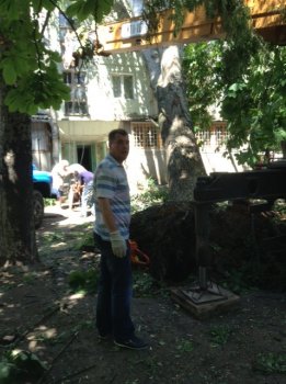 На Капитана Кузнецова продолжаются работы по освобождению дома №99 от рухнувшего тополя
