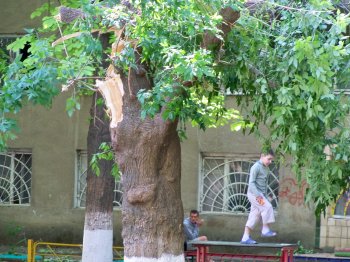 После стихии