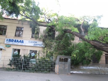 После стихии