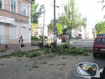 После стихии