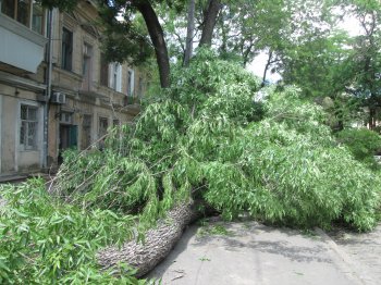 Одесский мэр опять оскандалился:  Со стихией он, как оказалось, «боролся» в ночном клубе