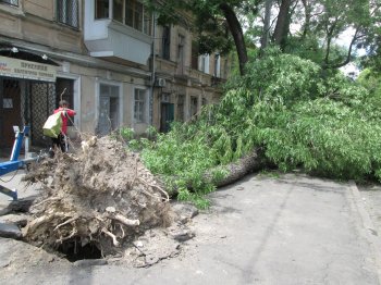 Одесский мэр опять оскандалился:  Со стихией он, как оказалось, «боролся» в ночном клубе