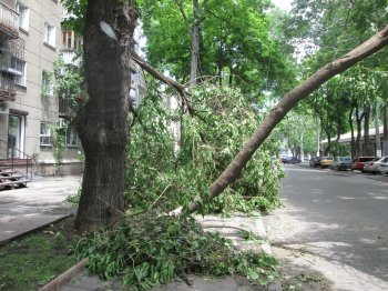 Одесский мэр опять оскандалился:  Со стихией он, как оказалось, «боролся» в ночном клубе
