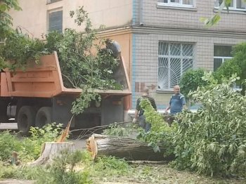 Евгений Гофман: Помощь учебным заведениям в ликвидации стихии, обеспечение безопасности наших детей – главная задача