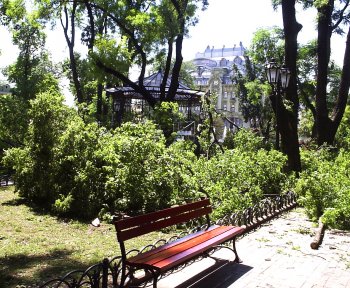 Одесский Горсад реанимируют после бури