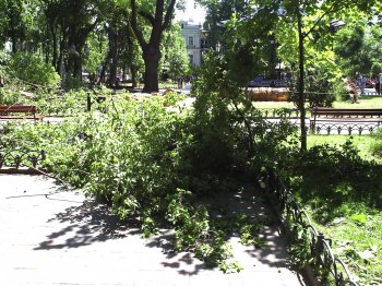 Одесский Горсад реанимируют после бури