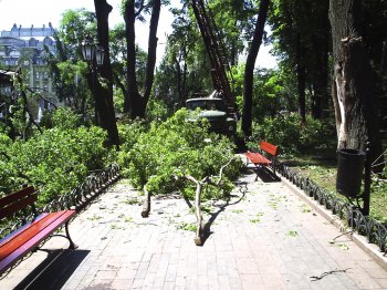 Одесский Горсад реанимируют после бури
