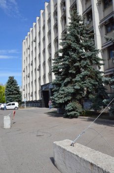 Стихия повергла одну из знаменитых елей у облгосадминистрации